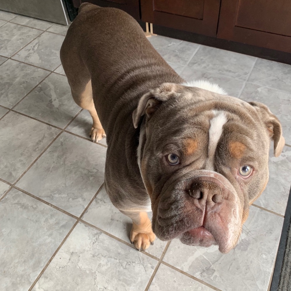 Meet your Posher, Feliciano